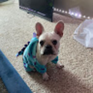 Meet your Posher, Emily fowler